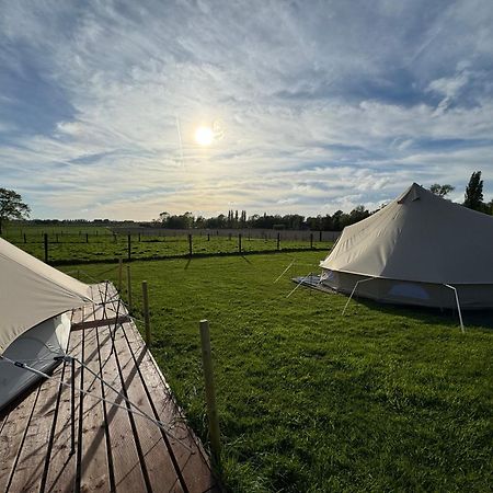 Camp Mangoeste Зеделхем Екстериор снимка